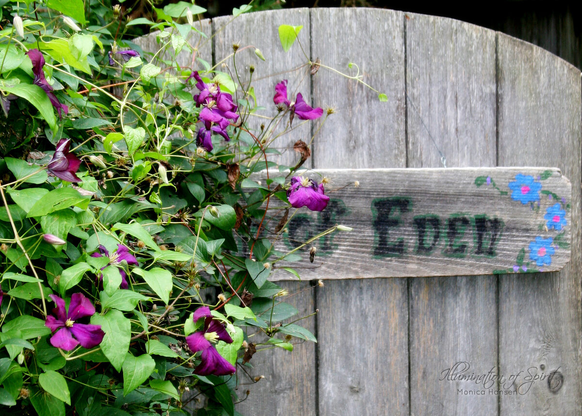Photograph — Flowers & Gardens